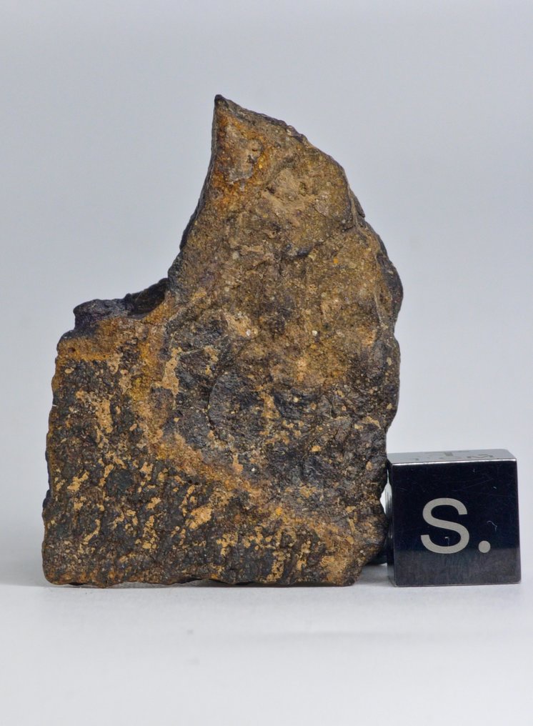 Carbonaceous meteorite CO3, NWA 16415. Do not reserve price. - 30.72 g - (1) #1.0