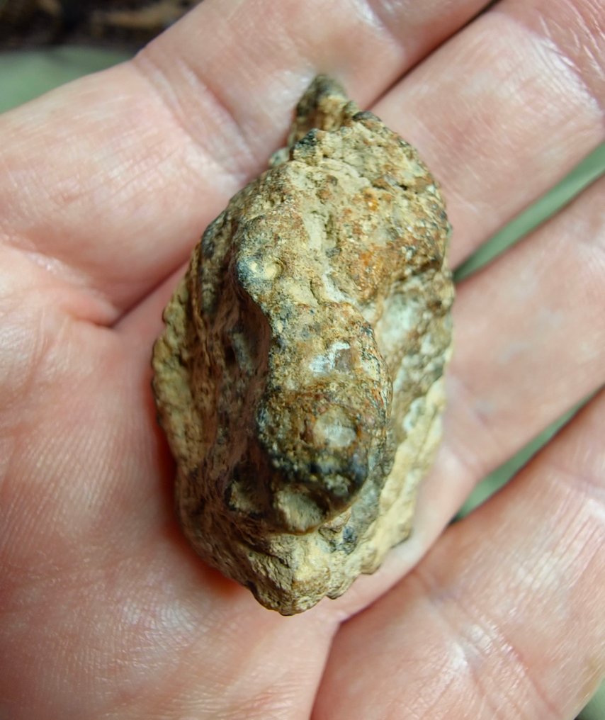 Meteorite Howardite HED, Bechar 008. Brak ceny minimalnej. - 37.41 g #3.2