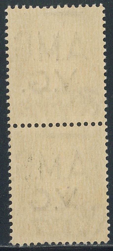 Τεργέστη-Ζώνη Α  - 10 c. bruno n. 1ε, με διπλή υπερτύπωση, σε κάθετο ζεύγος. #1.0