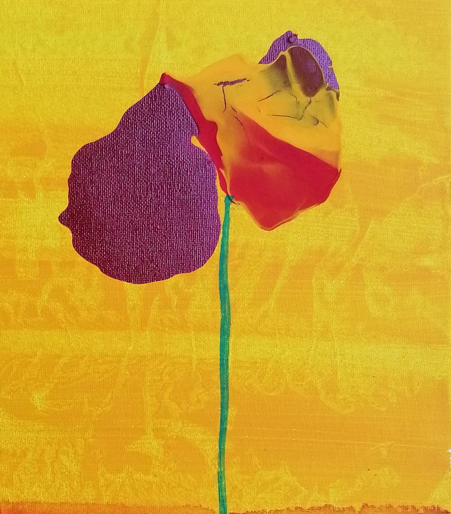 Terenzio Lana - P Due #2.1