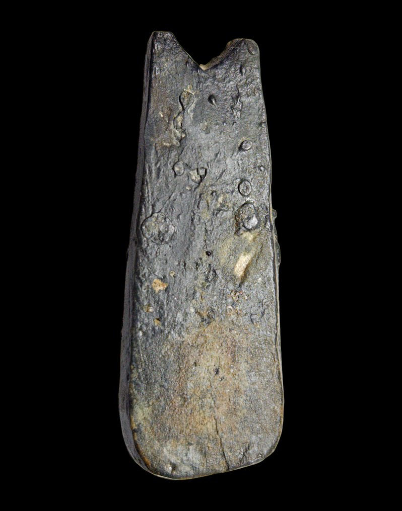 Netherlands East Indies. 1658-1660 Tin trial version with Batavia coat of arms for the VOC Larijn / Tang #3.2