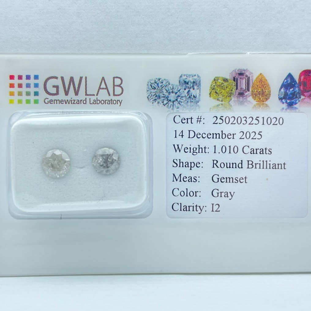 没有保留价 - 2 pcs 钻石  (天然色彩的)  - 1.01 ct - 圆形 - Fancy 灰色 - I2 内含二级 - Gemewizard宝石实验室（GWLab） #1.0