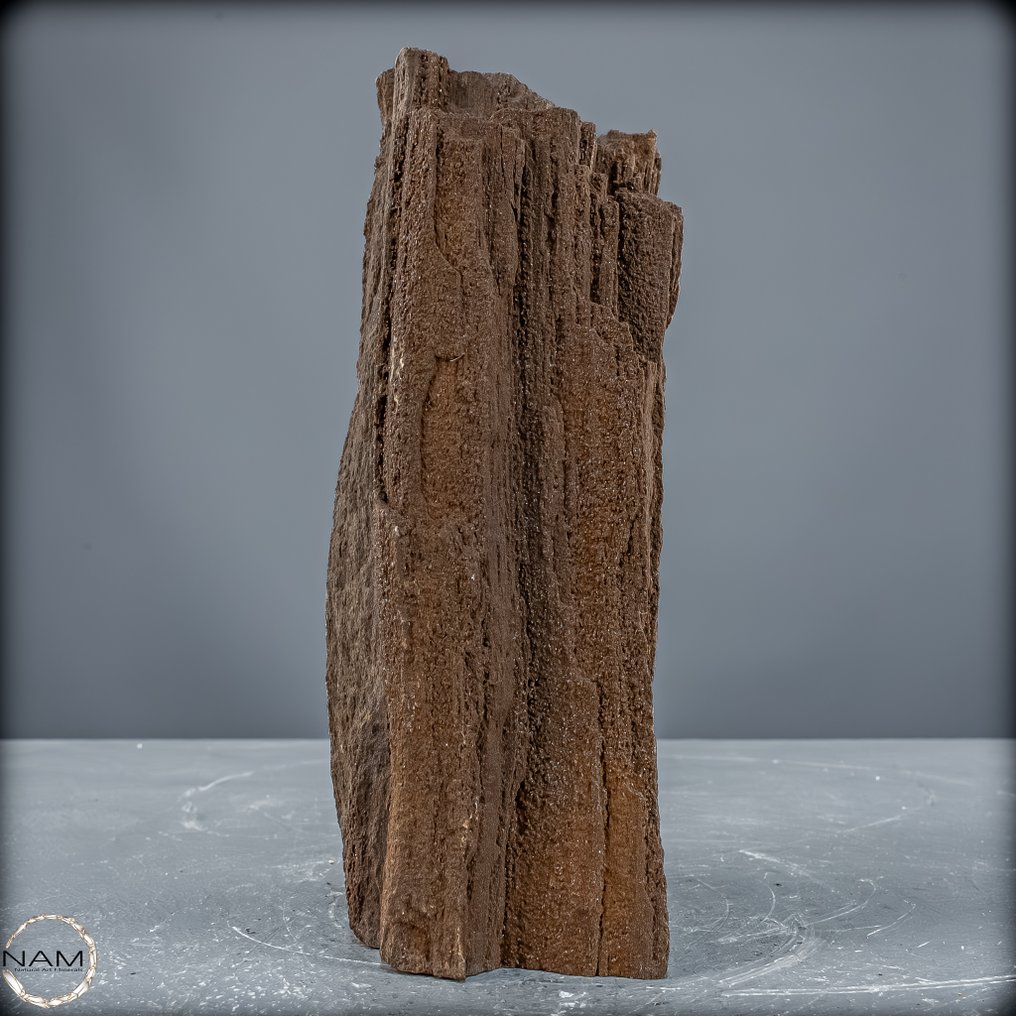 Natural fairy wood with crystalized petrified wood from Australia An ancient natural wonder full of magic and history- 1357.26 g #4.3