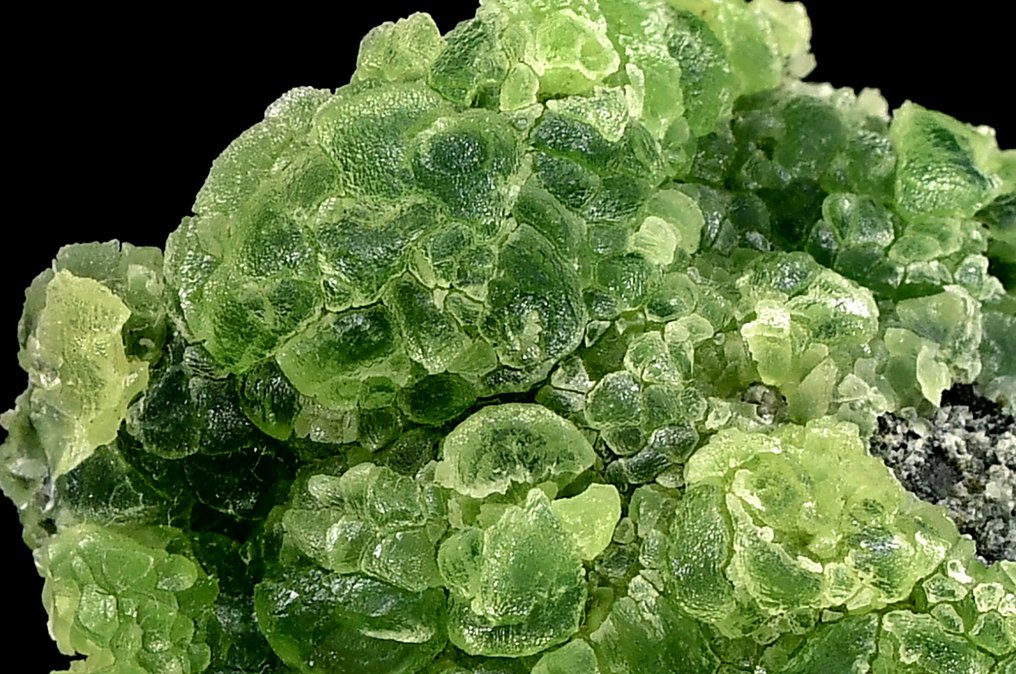 Wonderful deep green Smithsonite from Namibia - Height: 7.8 cm - Width: 6.5 cm- 158 g #1.0