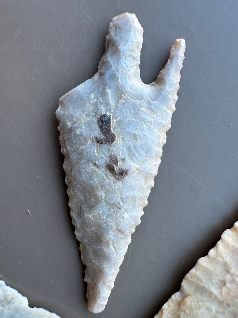 撒哈拉 燧石 箭头 - 55 mm  (没有保留价) #4.3