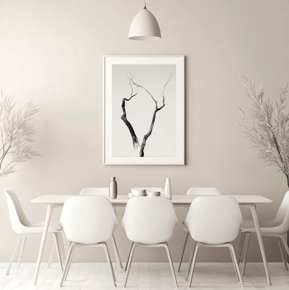 Jorge Omeñaca - Cornibus Foresta #2.1