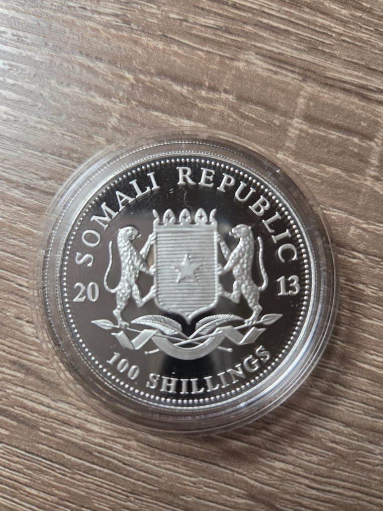 索馬里. 100 Shillings 2013  (沒有保留價) #1.0
