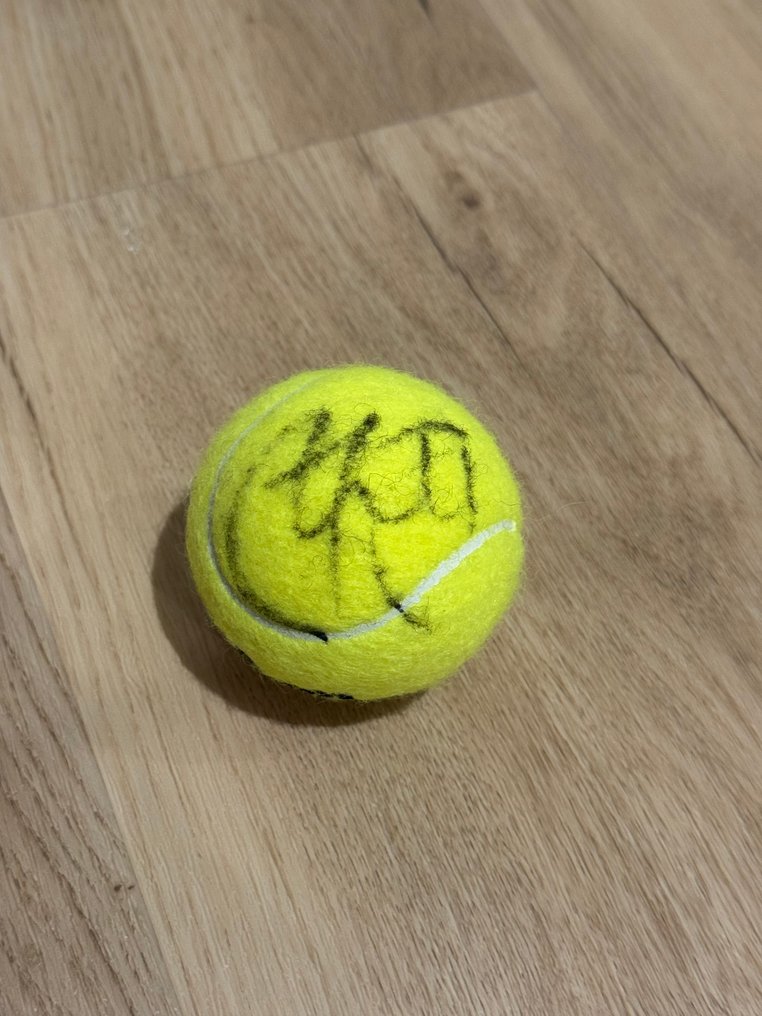 网球 - Taylor Fritz - 网球 #1.0