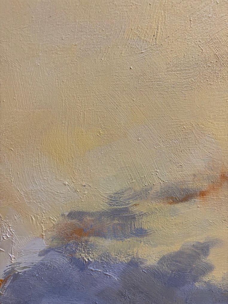 Hugo Delorme - La baie jaune 6 #3.2