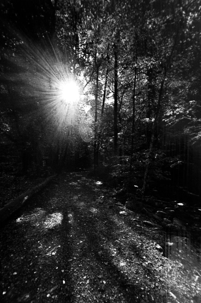 Rouzbeh Tahmassian - Dawn - No reserve price #4.3