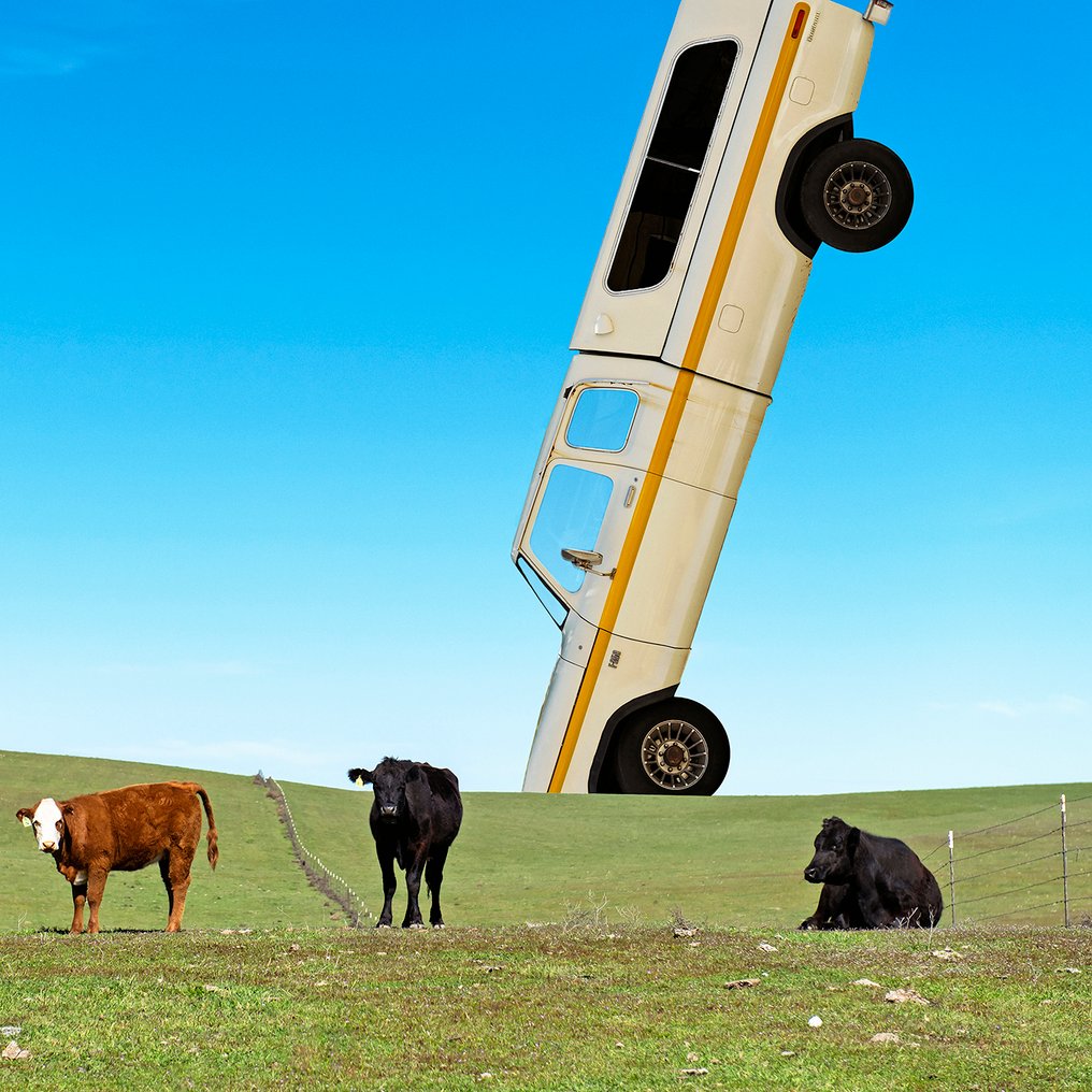 Roberto Cavalli - Mirages, Fallen from the sky / #558 #1.0