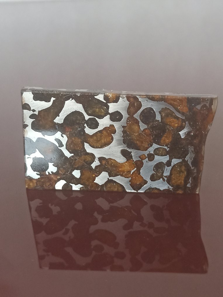 SERICO - pallasite meteorite - POLISHED SLICE. No reserve price!!! - 24.92 g #2.1