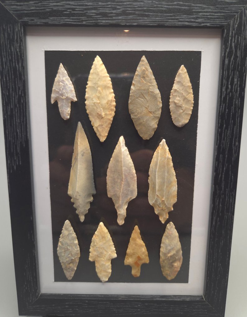 Νεολιθική Πυρόλιθος Συλλογή αιχμών βελών (11 τεμ.) - 170 mm  (χωρίς τιμή ασφαλείας) #1.0