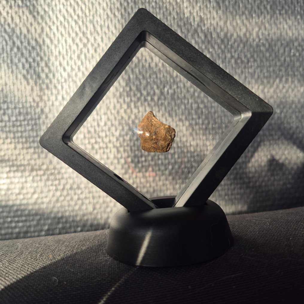 Collezione di meteoriti in esposizione 2 meteoriti originali - Altezza: 48 mm - Larghezza: 41 mm - 46.32 g - (2) #2.1