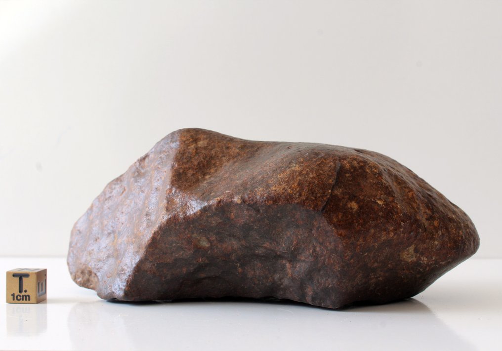 Belle chondrite ordinaire non classifiée avec regmalyt. Météorite de Chondrite - 795 g - (1) #3.2