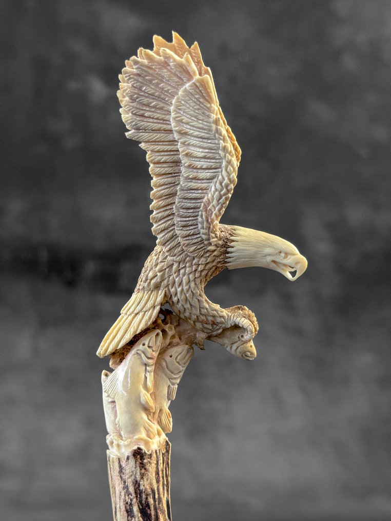Utskjæring, NO RESERVE PRICE - Stunning salmon hunting Eagle Carving from a deer antler - 19 cm - Elggevir, Tre - 2025 #1.0