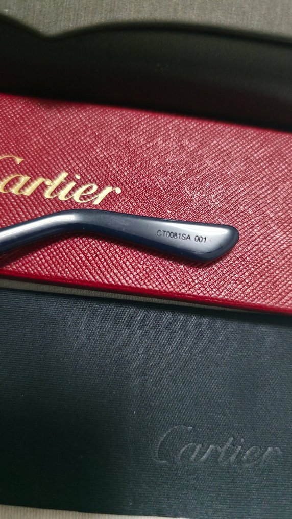 Cartier - strong pilot - Okulary przeciwsłoneczne #3.2