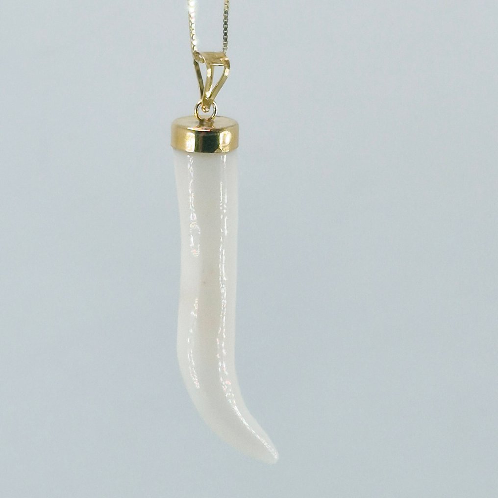 Corail - Argent - Collier avec pendentif - Corne en corail blanc #2.1