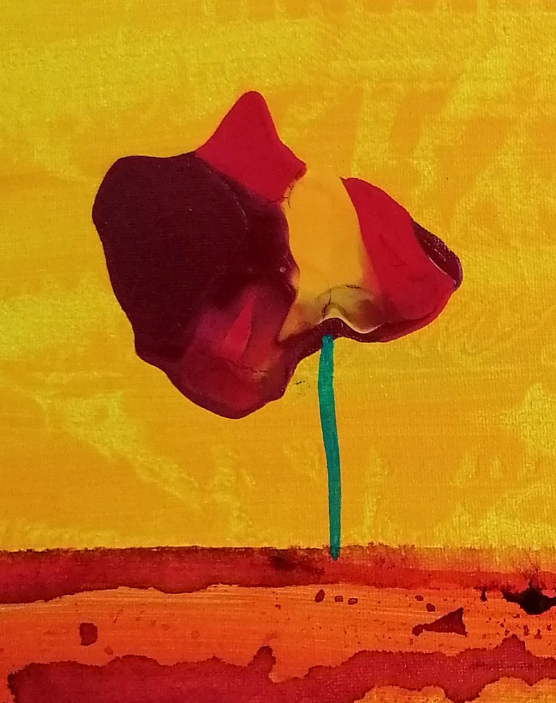 Terenzio Lana - P Due #1.0