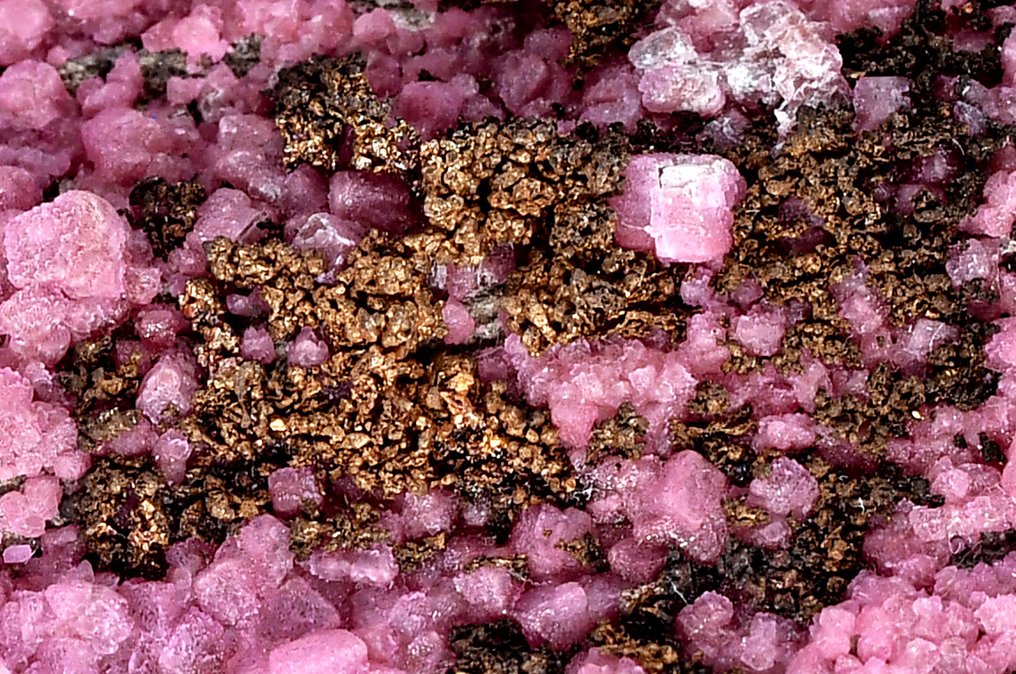 结晶的天然铜在钴辉石白云石上 来自刚果民主共和国——有趣且罕见的标本 - 高度: 7.5 cm - 闊度: 4.4 cm- 149 g #1.0