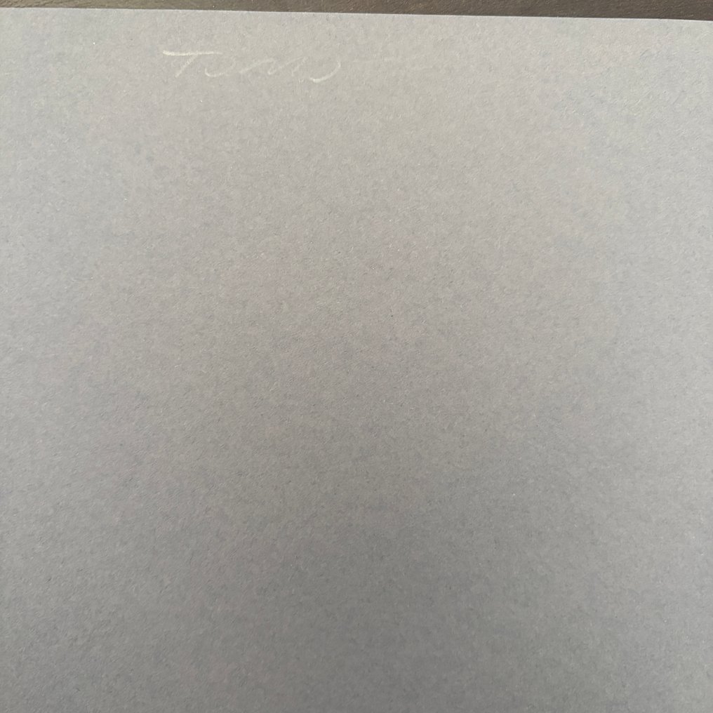 Shepard Fairey (OBEY) (1970) - Resurrectionem Ex-Mortuis 7" #4.3