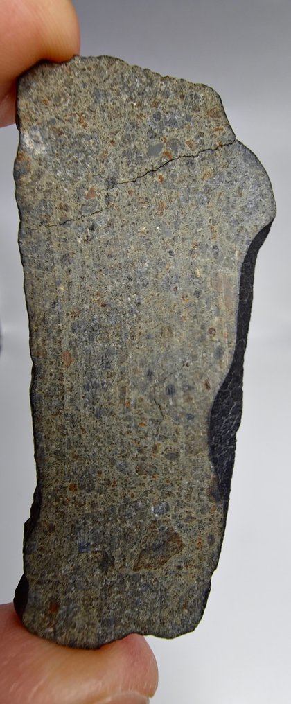 Meteorito carbonácea CK6. NWA 17323. - 14.3 g #1.0