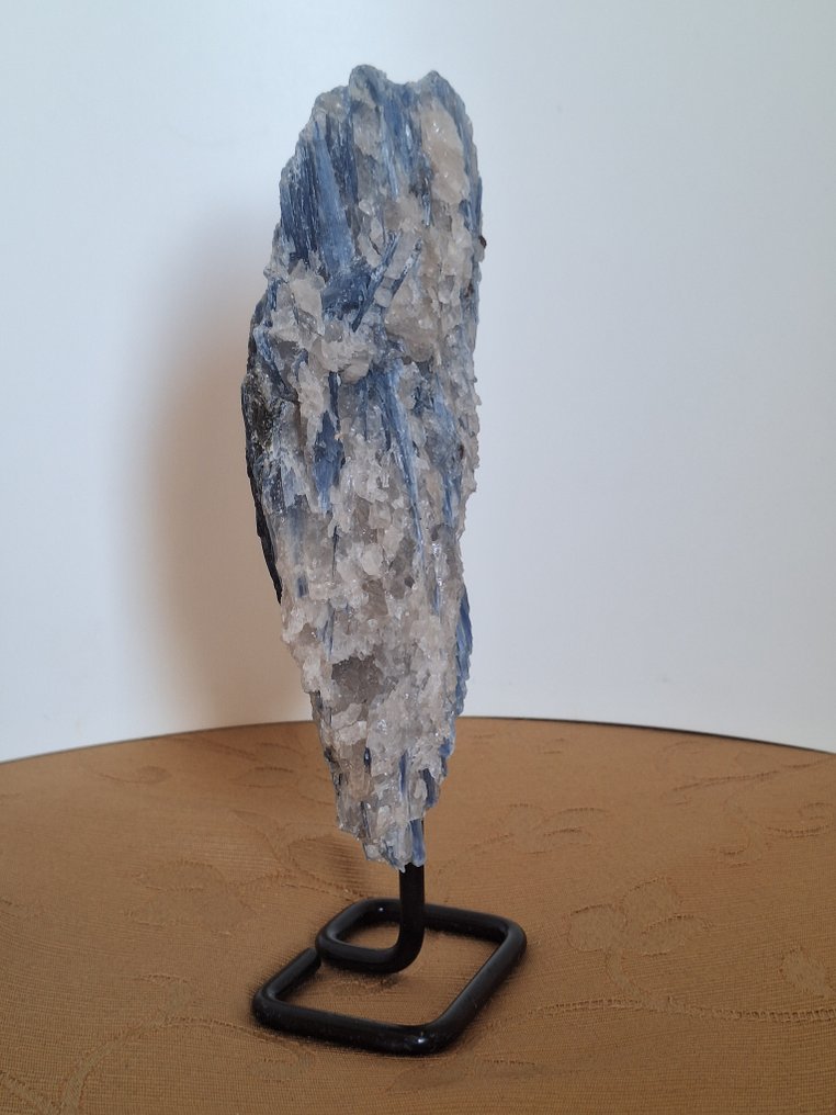 Kyanite Crystal - Height: 22 cm - Width: 8 cm- 755 g - (1) #4.3