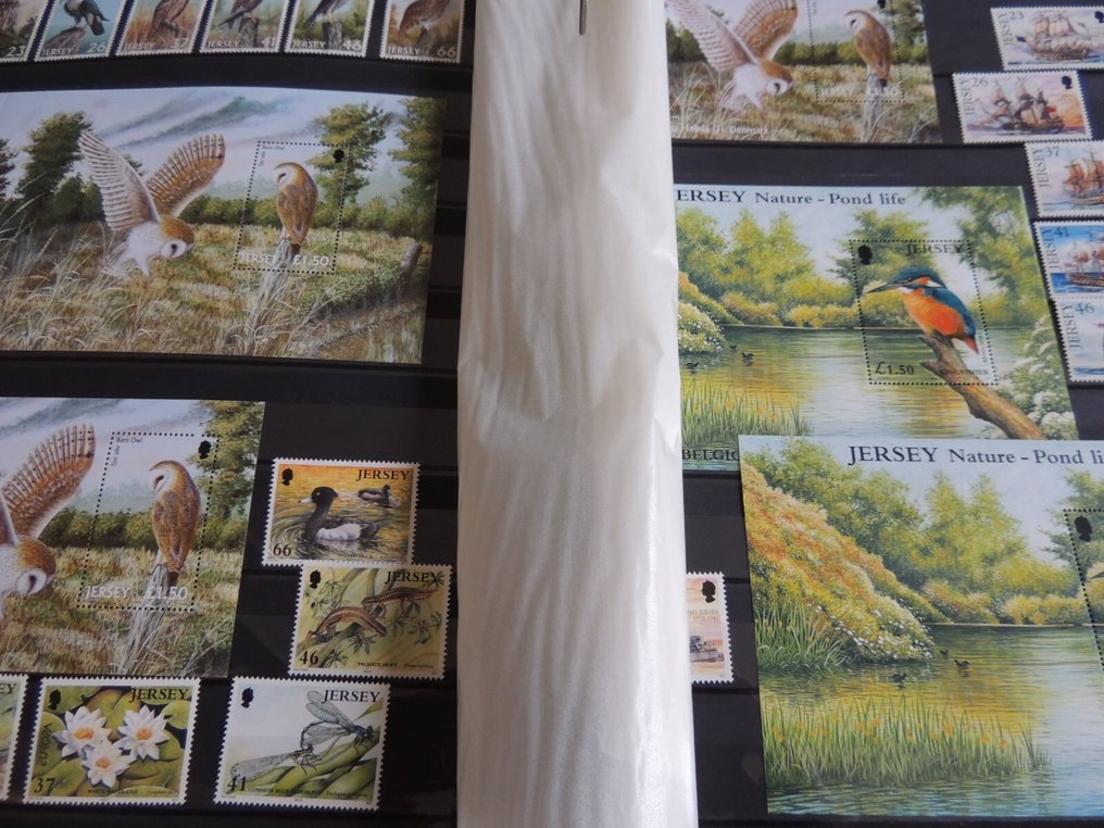 泽西 1995/2001 - 收藏品似乎完整，存放在Y&T文件夹中，售价1000欧元。 #1.0