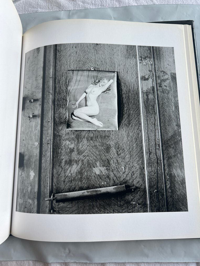 Danny Lyon - THE DESTRUCTION OF LOWER MANHATTAN - 1969-2005 #4.3