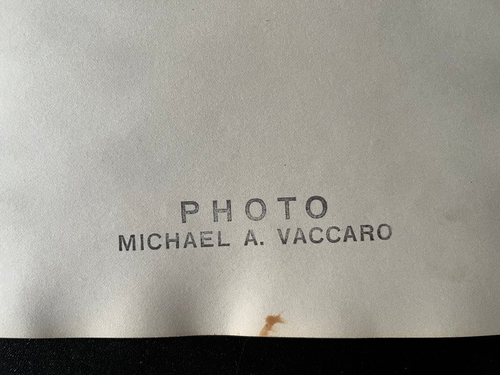 Michael Tony Vaccaro - Architettura Robie House di Chicago di Frank Lloyd Wright #4.3