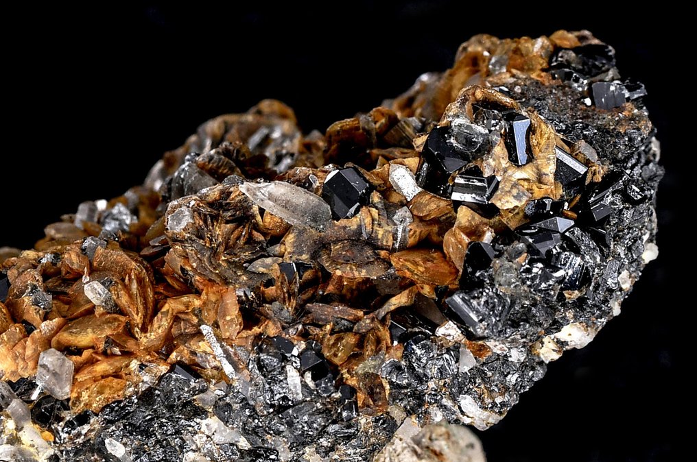 High quality sparkling Cassiterite and Siderite from Bolivia - Viloco Mine - Height: 7 cm - Width: 4.4 cm- 138 g #4.3