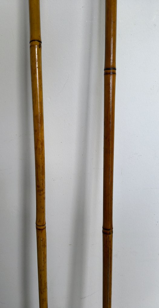 Wintersport - Bastoncini da sci + piccone da ghiaccio  #4.3