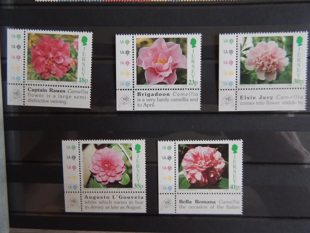 泽西 1995/2001 - 收藏品似乎完整，存放在Y&T文件夹中，售价1000欧元。 #3.2