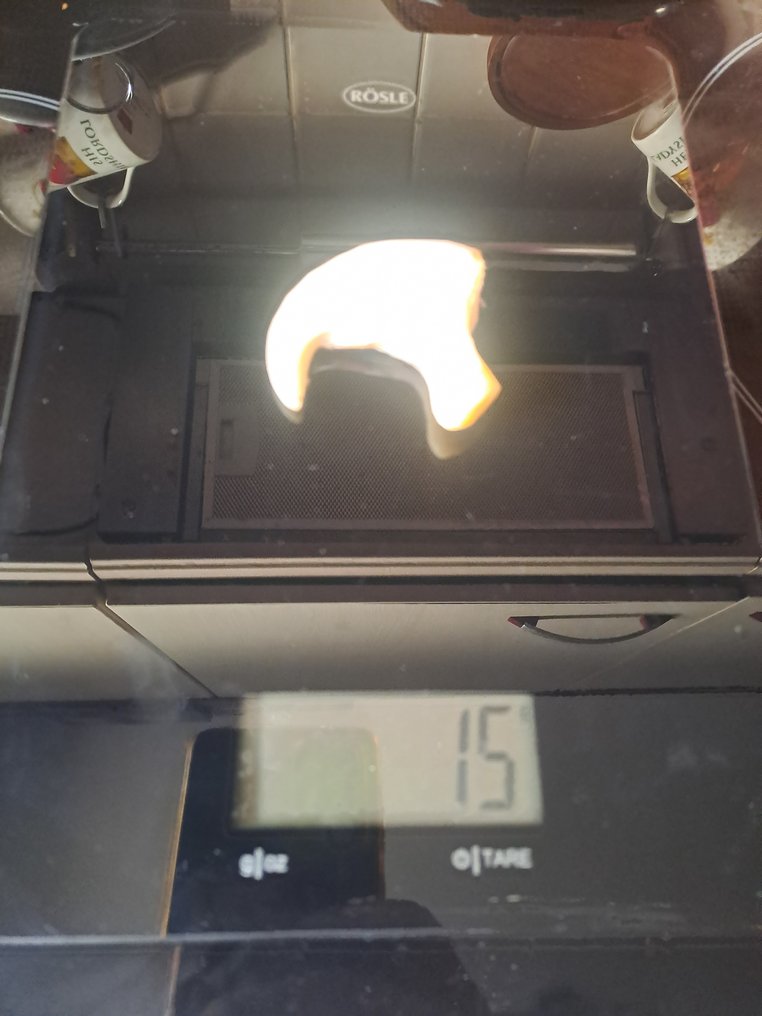 Αφρικαντικό νύχι λιονταριού Οστό - Panthera leo - 51 mm - 55 mm - 14 mm- Παράρτημα ΙΙ του  CITES - Παράρτημα Β στην ΕΕ -  (1) #4.3