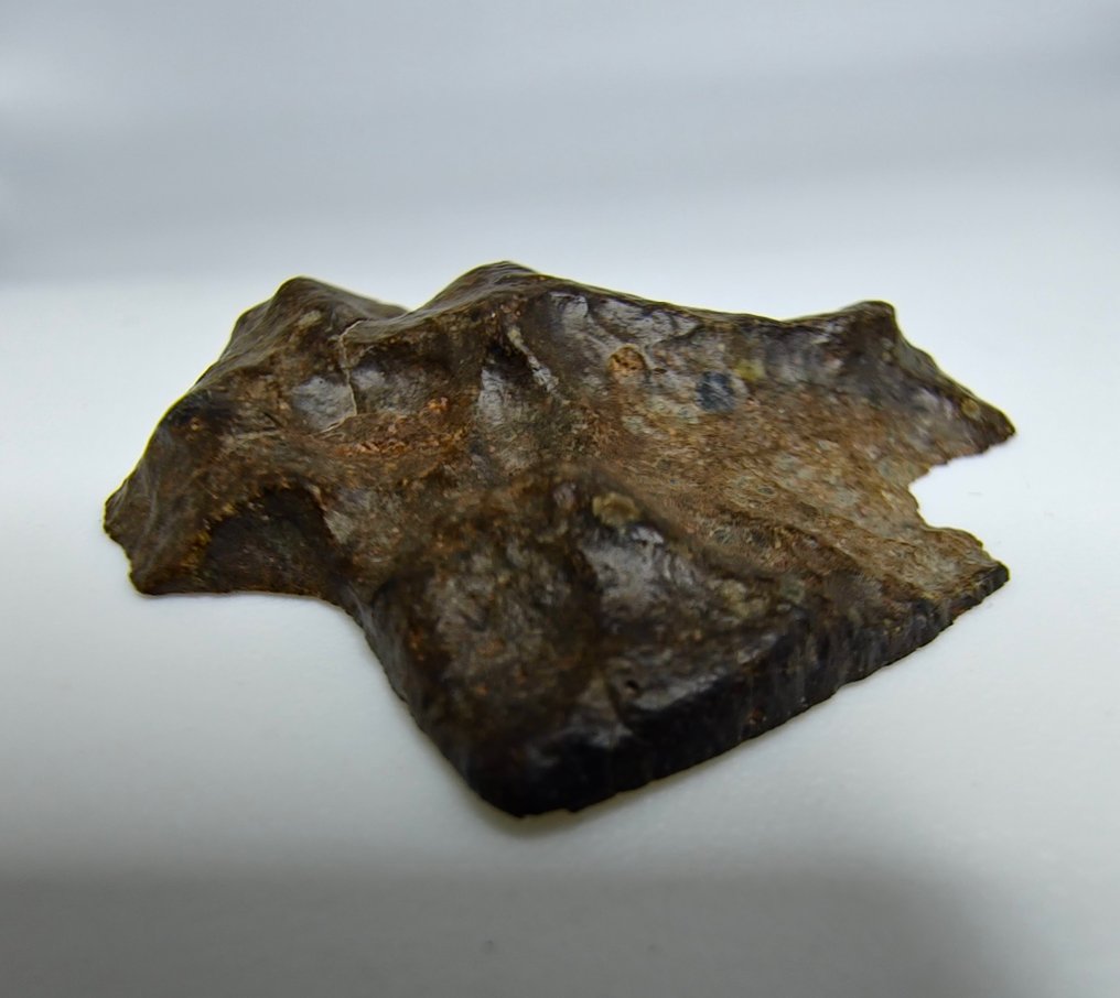 Meteorite. Rumuruti R3-6. NWA 17584. - 3.38 g - (1) #4.3