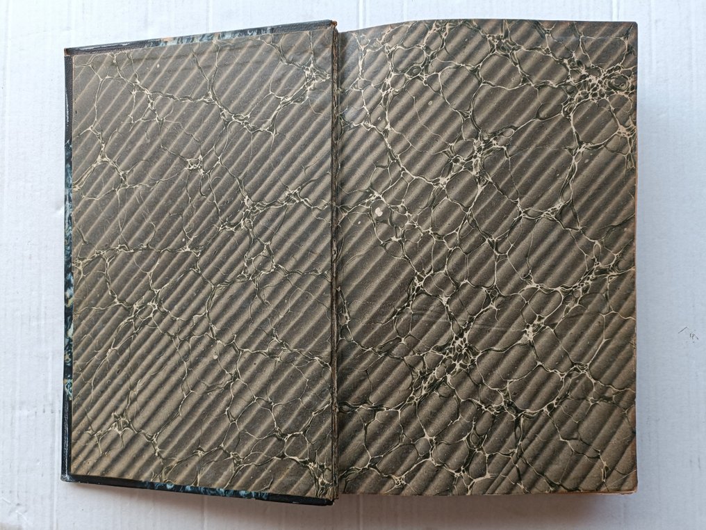 E. de Puydt / M. Leroy / M. Guibert - Les Orchidées - 1880 #1.0