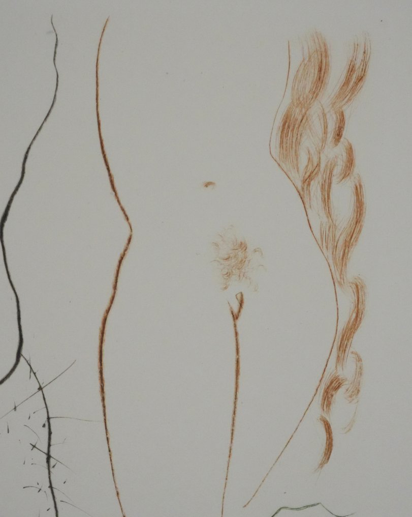 Salvador Dali (1904-1989) - Décaméron : Le diable en Enfer #4.3