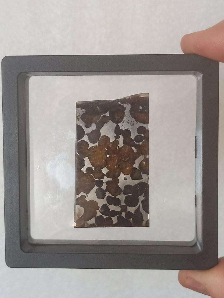 SERICO - pallasite meteorite - POLISHED SLICE. No reserve price!!! - 24.92 g #1.0
