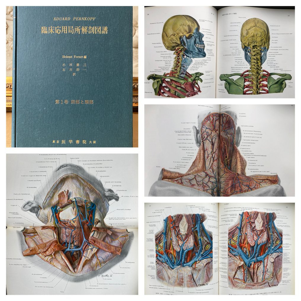 Eduard Pernkopf - Atlas der topographischen und angewandten Anatomie des Menschen - 1966 #1.0