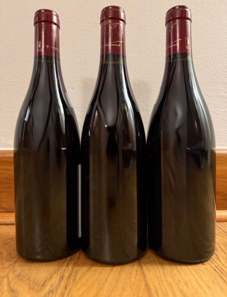 2014 Domaine Tortochot "Les Jeunes Rois" - Gevrey Chambertin - 3 Bottles (0.75L) #1.0