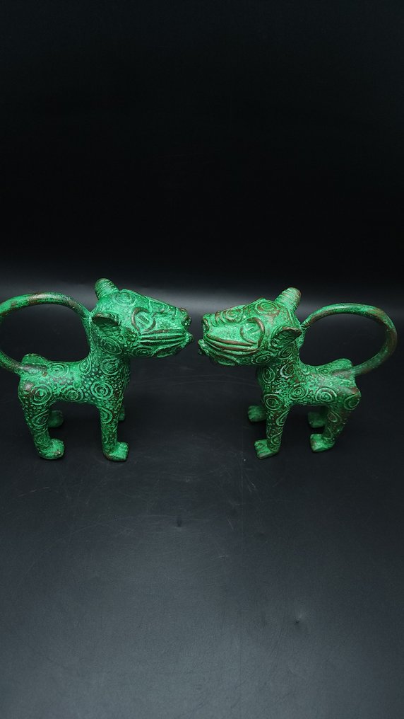 Szuper pár royal leopard - bini/edo - Nigéria  (Nincs minimálár) #4.3