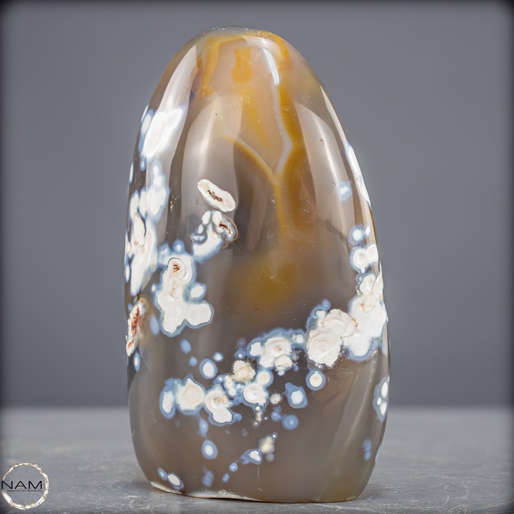 Φυσικό Όρκας Αχάτης ελεύθερου σχήματος. Δυναμική κομψότητα των ωκεανών- 1008.05 g #2.1