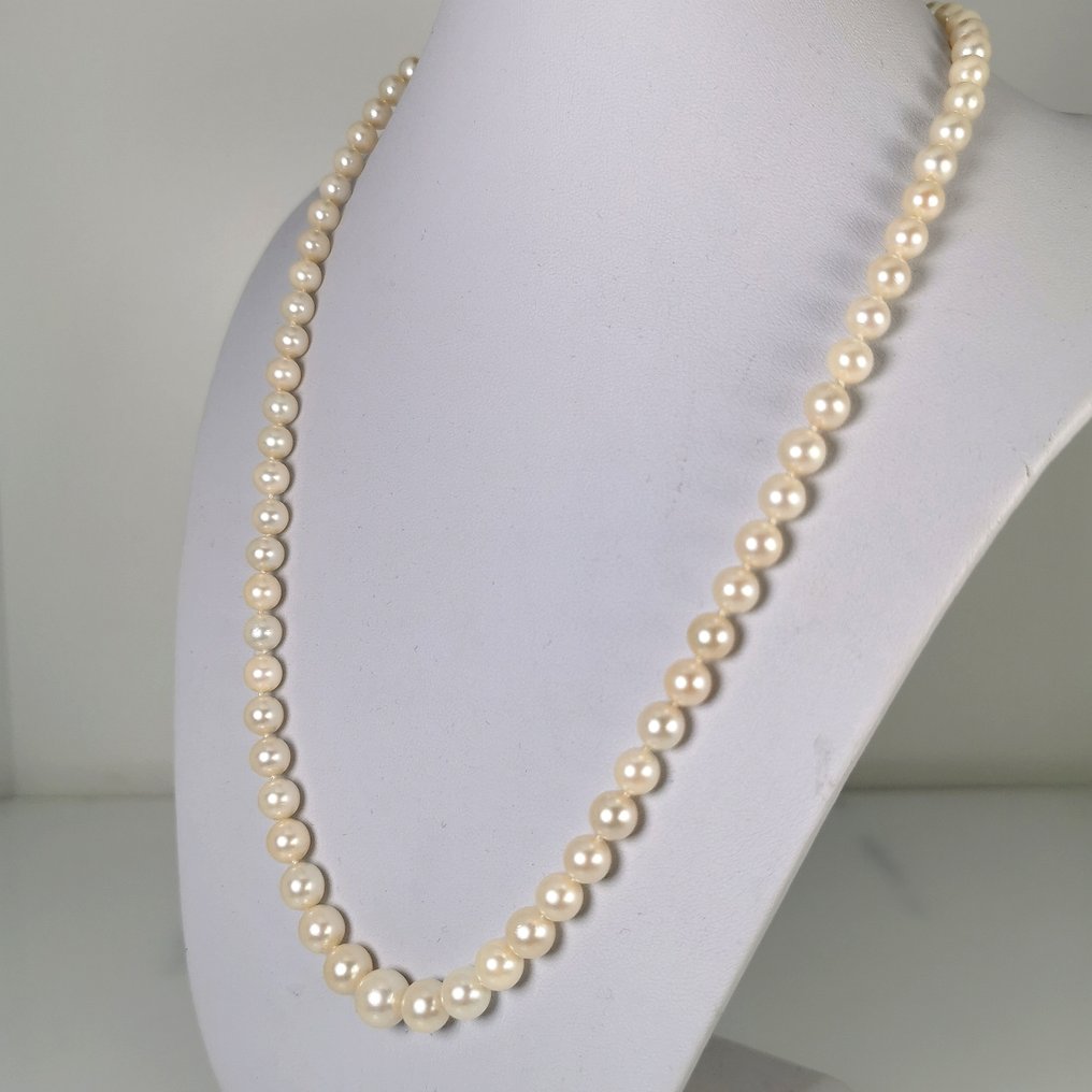 项链 - 18K包金 白金 珍珠 - 蓝宝石 - Akoya 流口 Ø6 至 9 毫米 #3.2