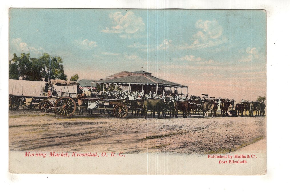 Zuid-Afrika - Collectie Zuid Afrika 1900-1920 - Verzameling zeer oude ansichtkaarten van Zuid- Afrika - Ansichtkaart (50) - 1900-1925 #1.0