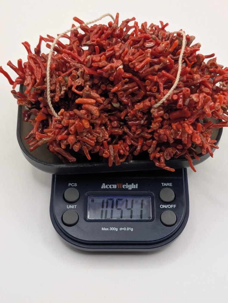 Κοράλλι αίματος - χωρίς κλείσιμο - Κολιέ #4.3