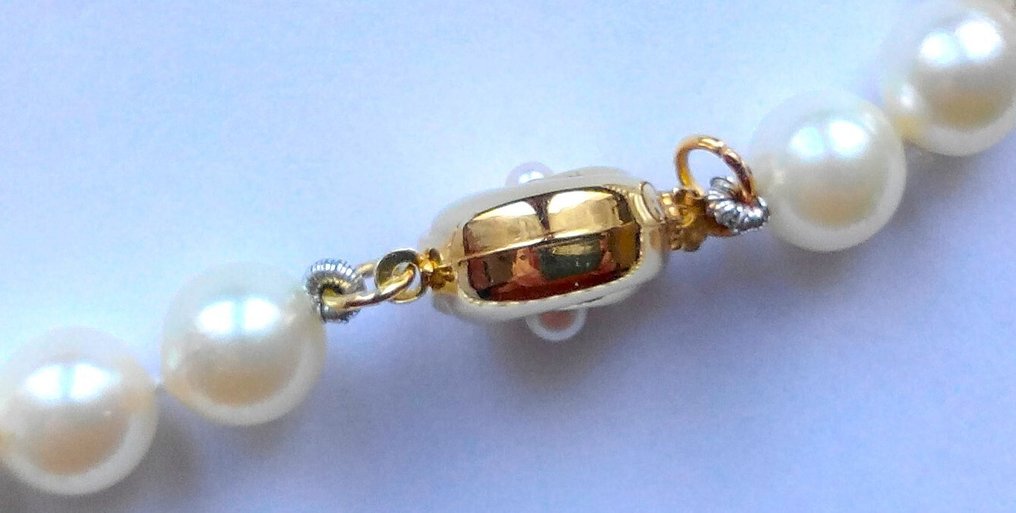 χωρίς τιμή ασφαλείας - Κολιέ 14 καρατίων κίτρινο χρυσό - Akoyaperlen έως 8 mm #4.3