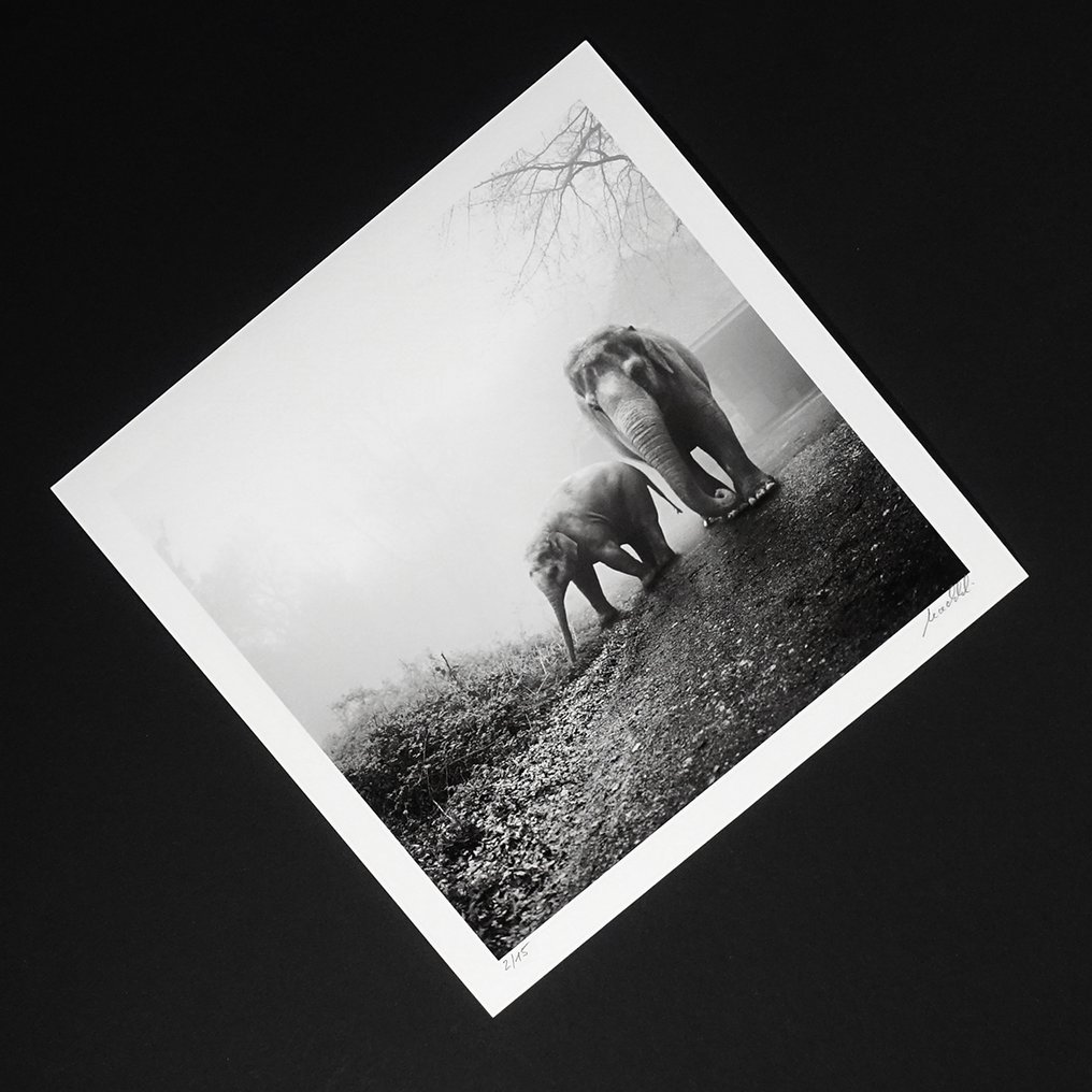 Frank Machalowski - tierwald #43 #4.3