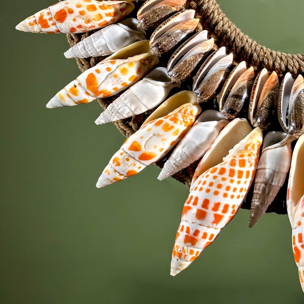 Διακοσμητικό στολίδι - SN11 - Decorative shell necklace on a custom stand - Παπούα Νέα Γουινέα #4.3