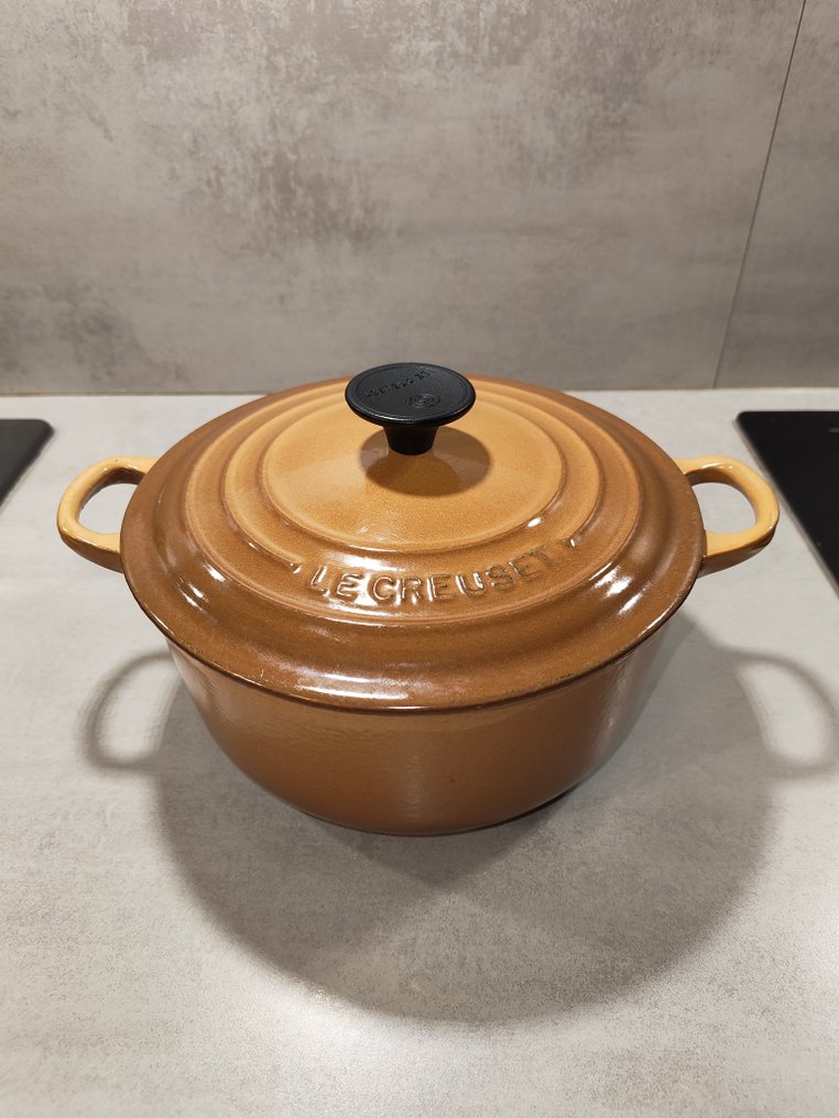 Le Creuset - Braadpan - Fonte #1.0