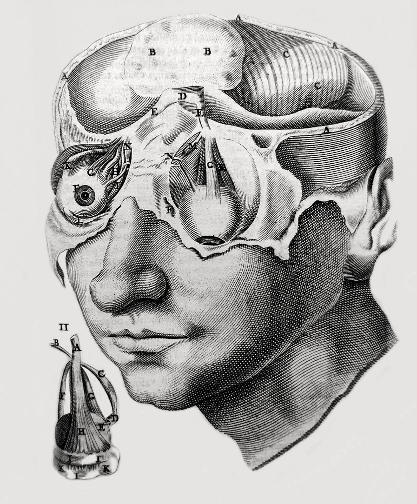 Thomas Bartholin - Anatomia Reformata (Anatomy Reformed) - 1655 #1.0